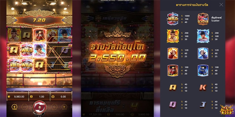 Muay Thai Champion