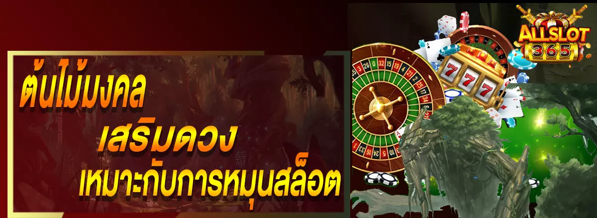 PUSSY888 ต้นไม้มงคลเสริมดวงเหมาะกับการหมุนสล็อต