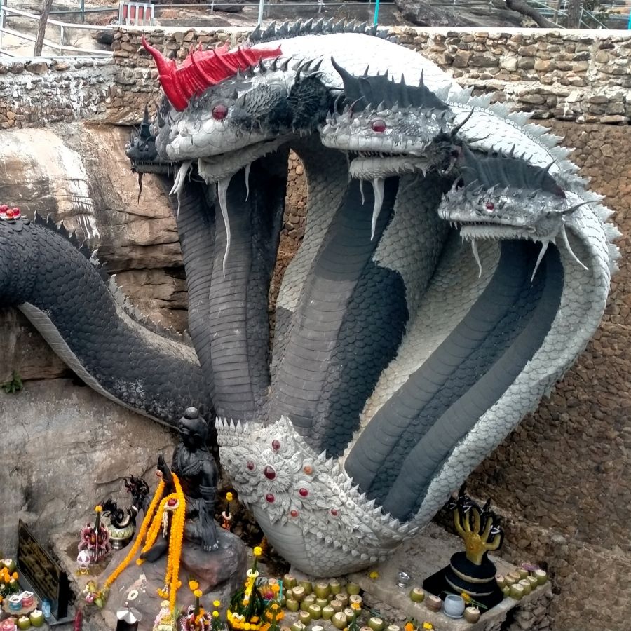 วัดภูยอดรวย