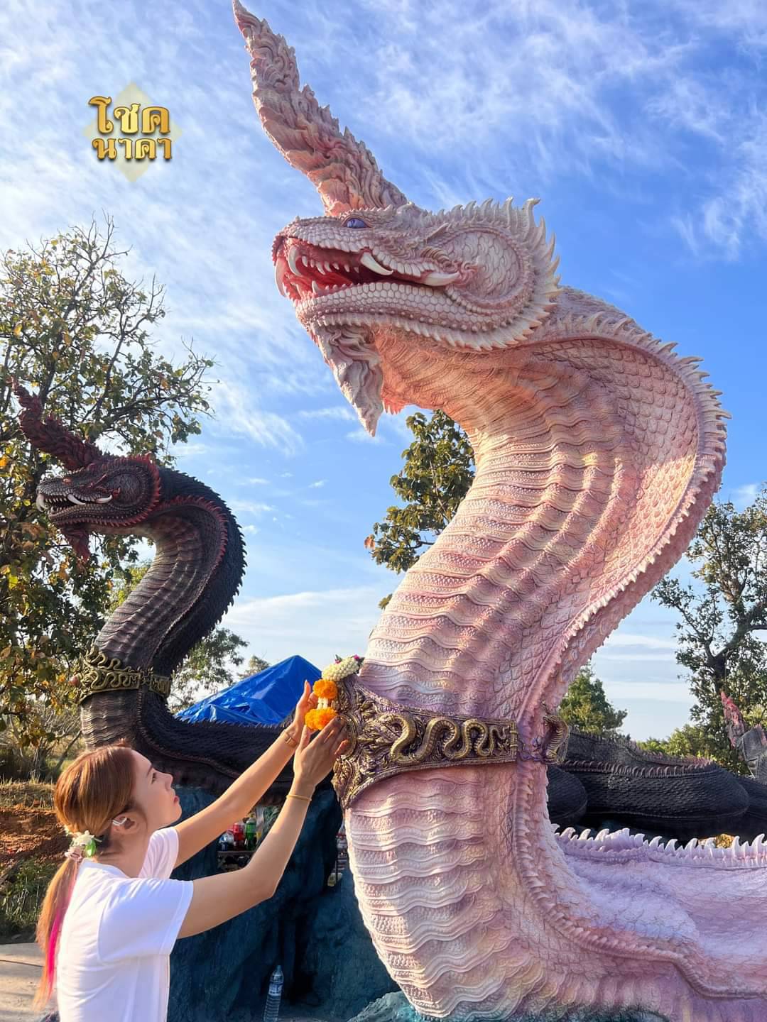 ปู่พญานาค