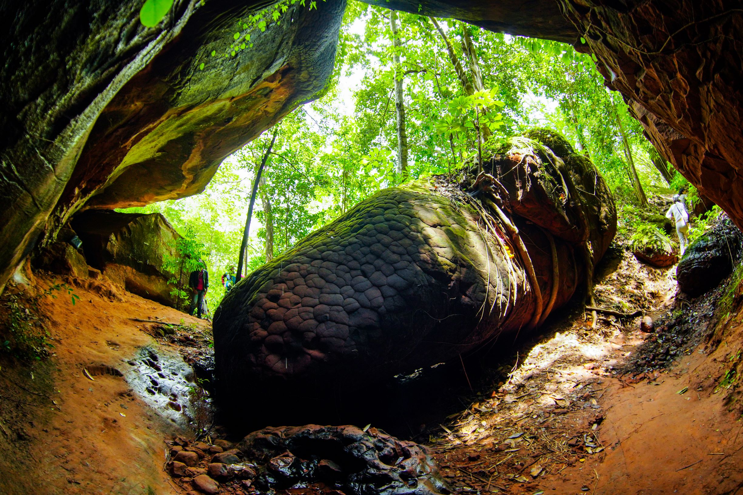 ถ้ำนาคา