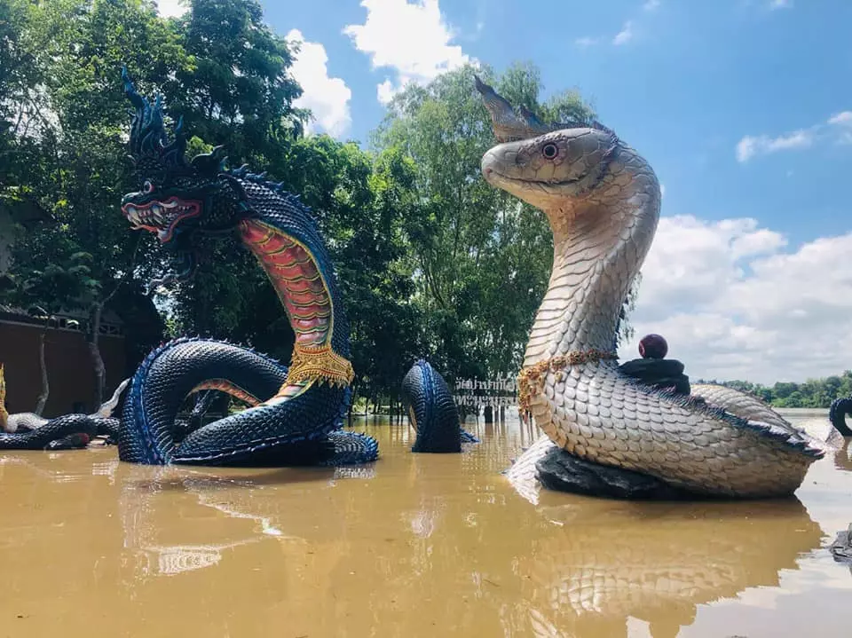 วัดป่าปากโดม