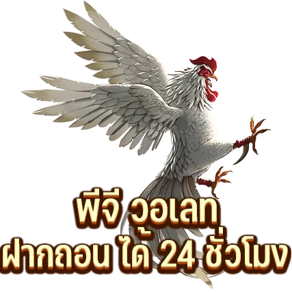 พีจี วอเลท ฝากถอน ได้ตลอด 24 ชั่วโมง