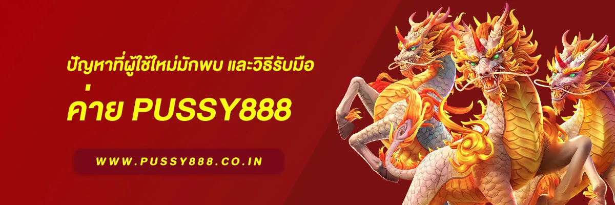 เว็บ ALLSLOT365